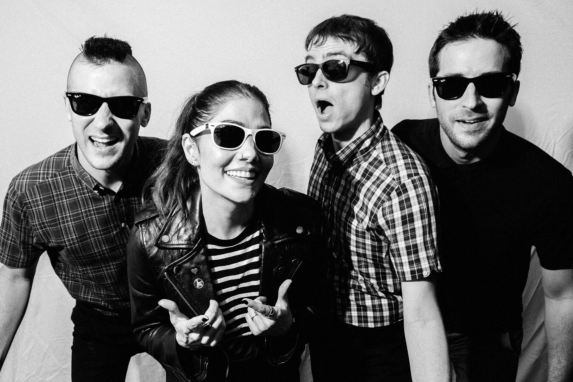 THE INTERRUPTERS